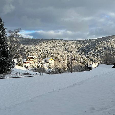 Boutique Hotel And Apartments Pension Sternen Тодтмос Екстериор снимка