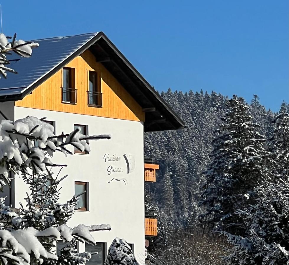 Boutique Hotel And Apartments Pension Sternen Тодтмос Екстериор снимка