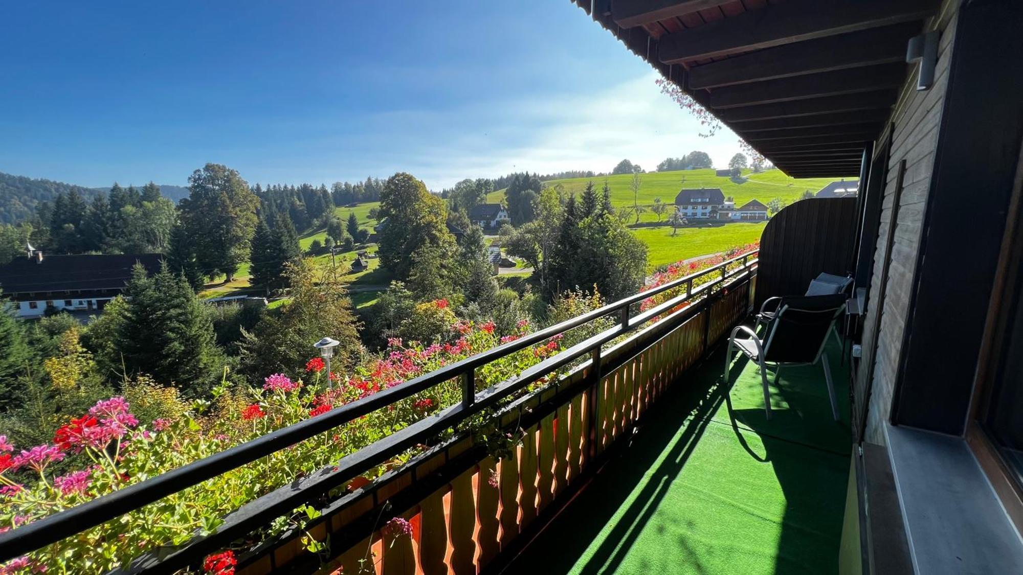 Boutique Hotel And Apartments Pension Sternen Тодтмос Екстериор снимка