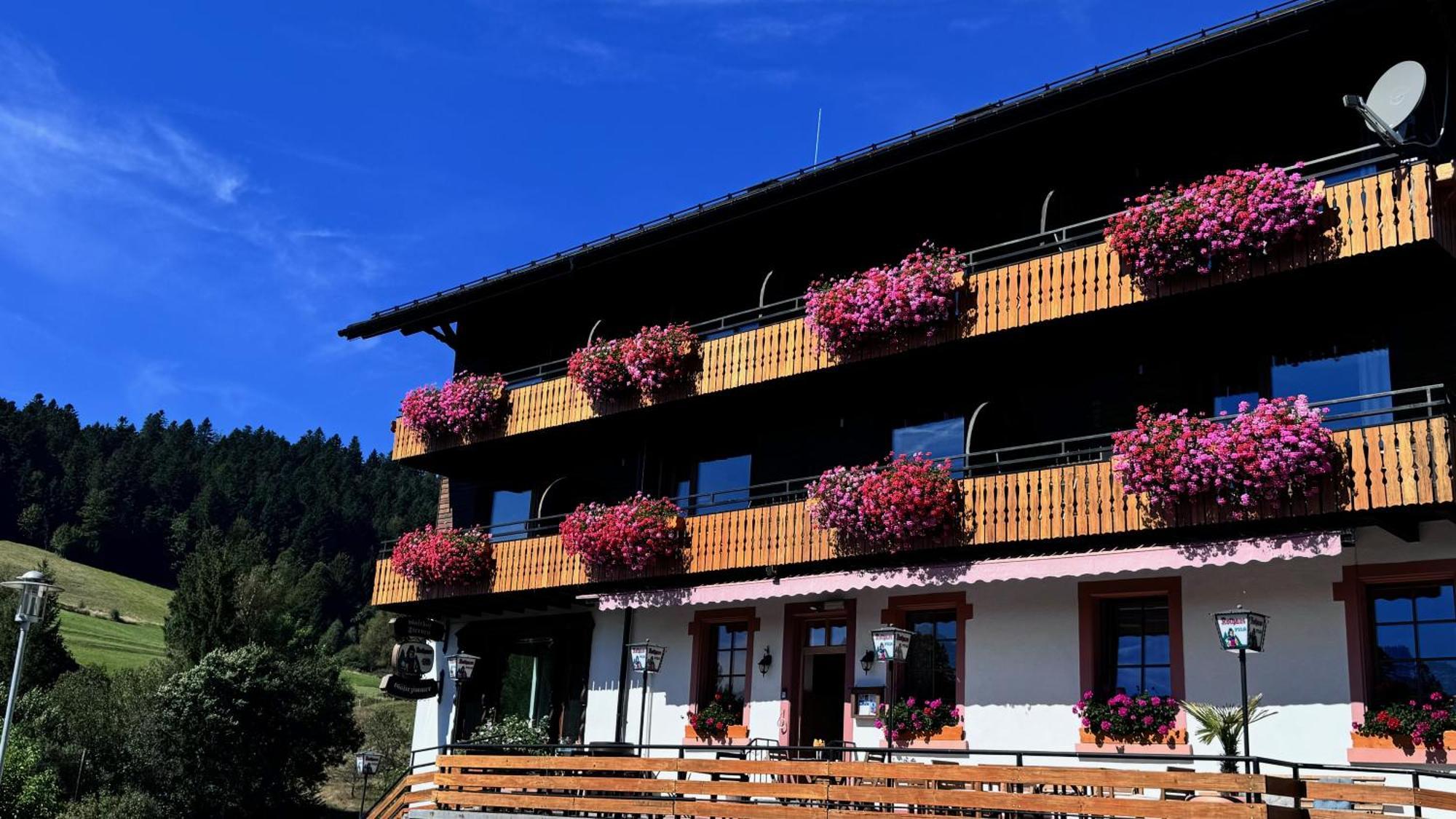 Boutique Hotel And Apartments Pension Sternen Тодтмос Екстериор снимка